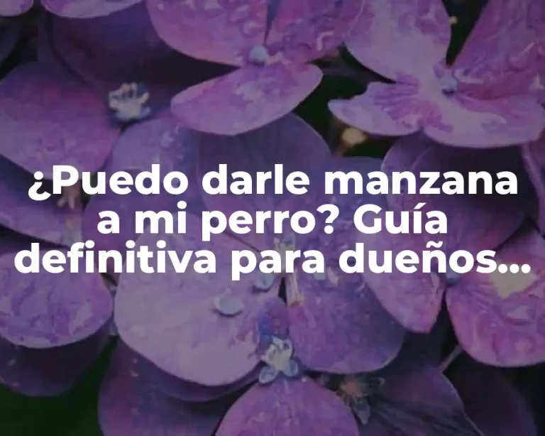 ¿Puedo darle manzana a mi perro? Guía definitiva para dueños de mascotas