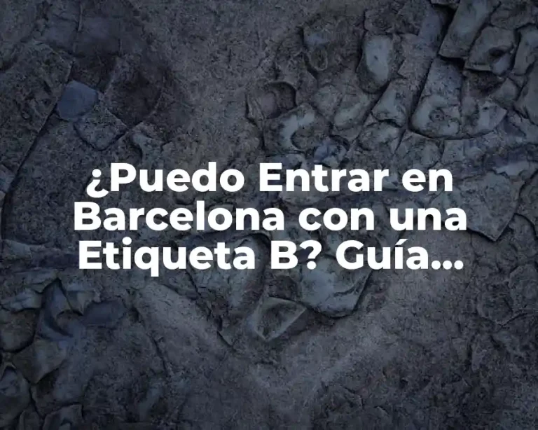¿Puedo Entrar en Barcelona con una Etiqueta B? Guía Completa