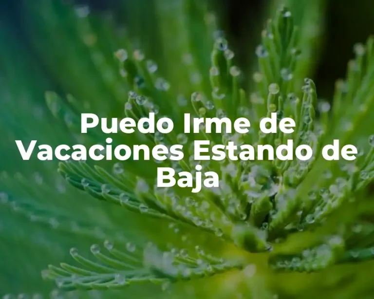 Puedo Irme de Vacaciones Estando de Baja