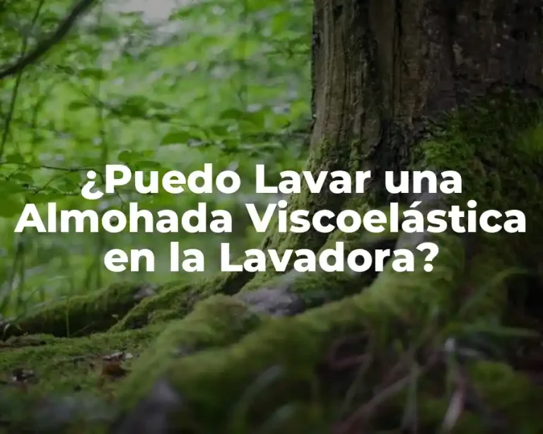 ¿Puedo Lavar una Almohada Viscoelástica en la Lavadora?