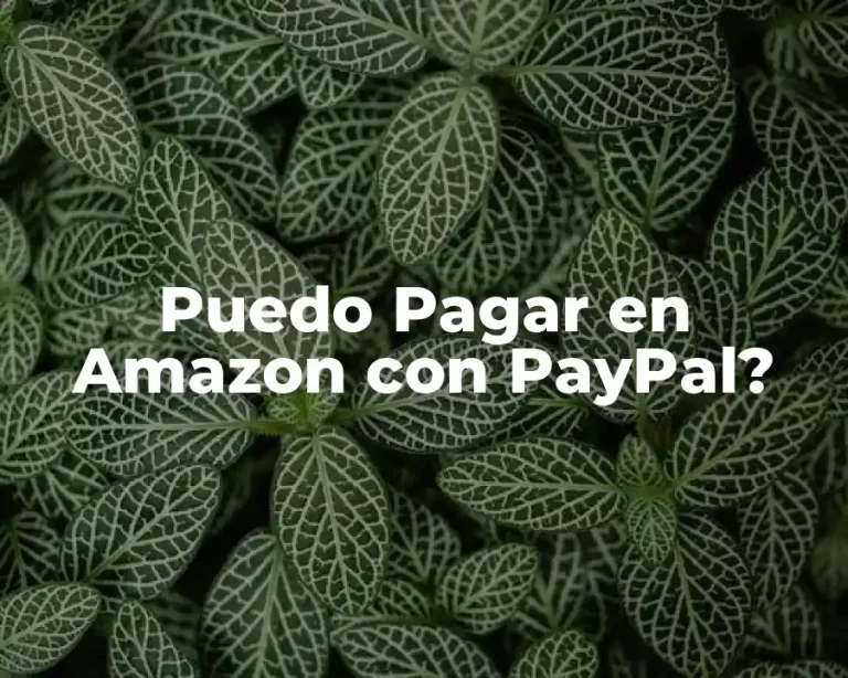Puedo Pagar en Amazon con PayPal?