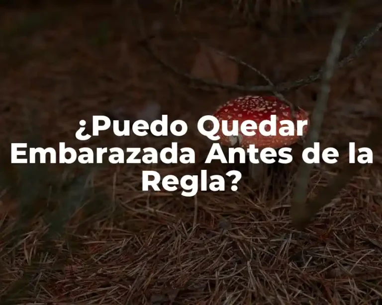 ¿Puedo Quedar Embarazada Antes de la Regla?