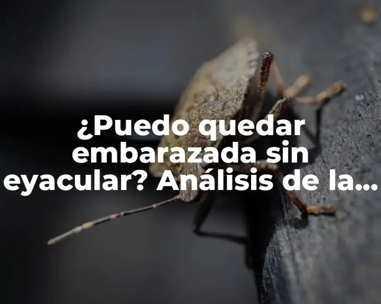 ¿Puedo quedar embarazada sin eyacular? Análisis de la posibilidad