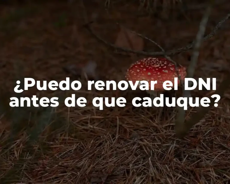 ¿Puedo renovar el DNI antes de que caduque?