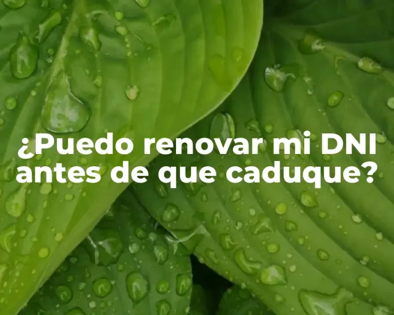 ¿Puedo renovar mi DNI antes de que caduque?