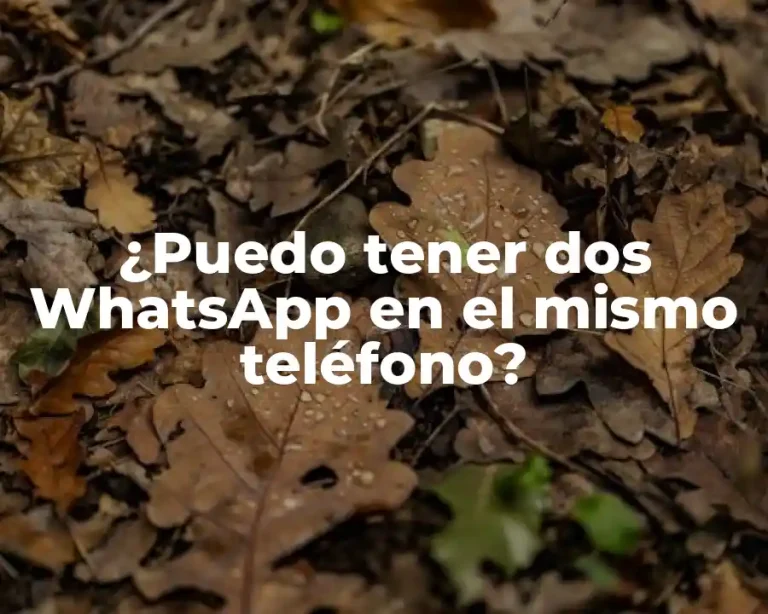 ¿Puedo tener dos WhatsApp en el mismo teléfono?