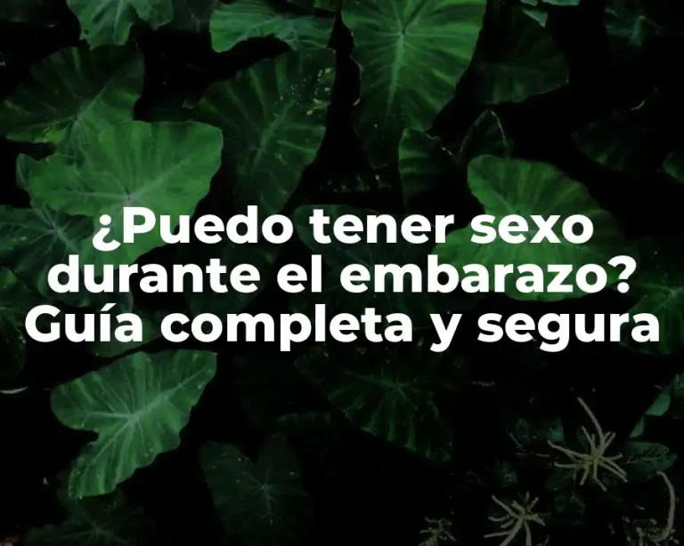 ¿Puedo tener sexo durante el embarazo? Guía completa y segura