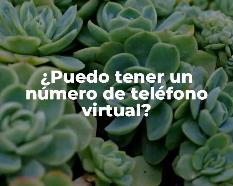 ¿Puedo tener un número de teléfono virtual?