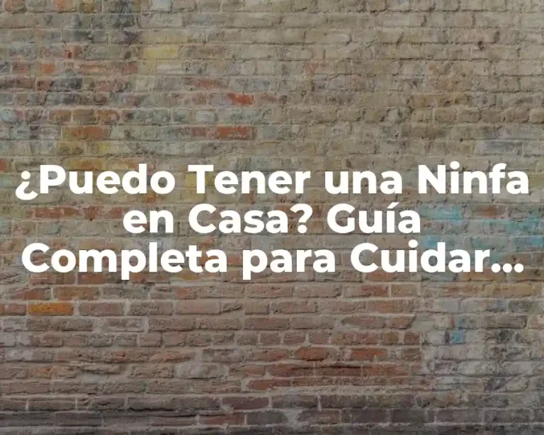 ¿Puedo Tener una Ninfa en Casa? Guía Completa para Cuidar de una Ninfa