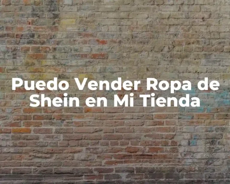 Puedo Vender Ropa de Shein en Mi Tienda