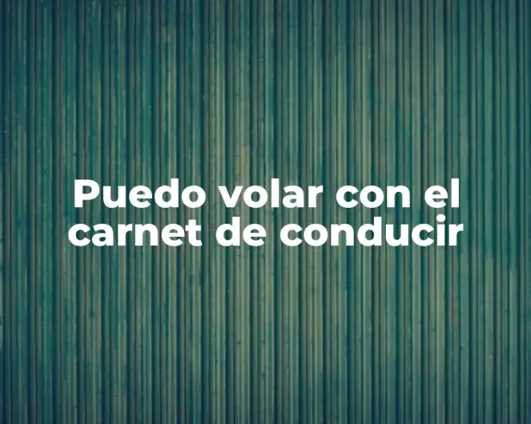 Puedo volar con el carnet de conducir