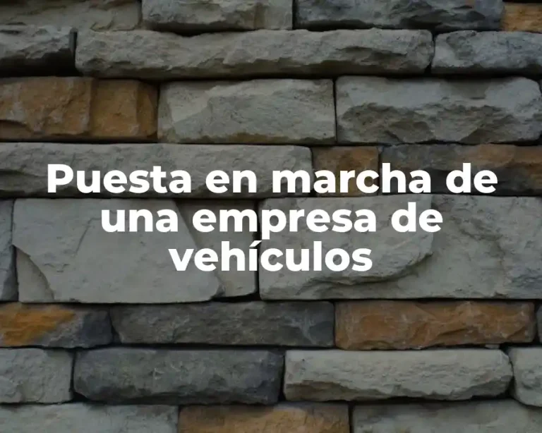 Puesta en marcha de una empresa de vehículos