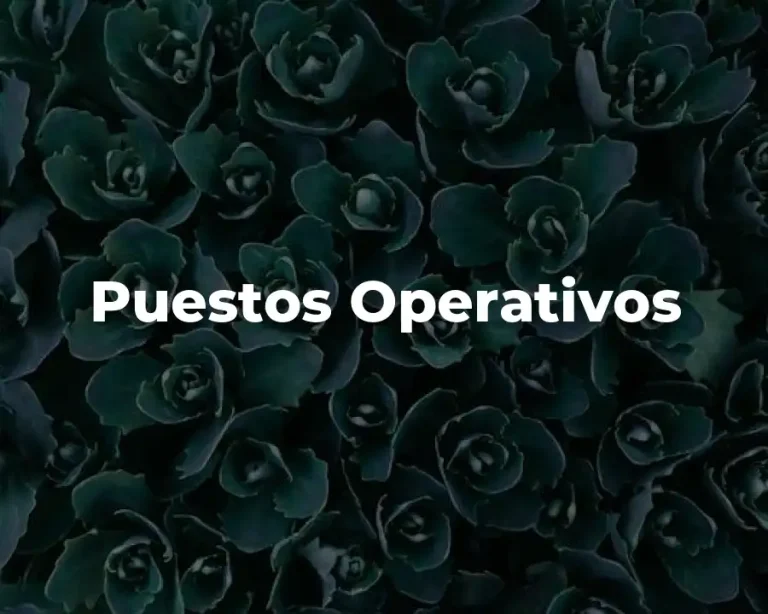 Puestos Operativos