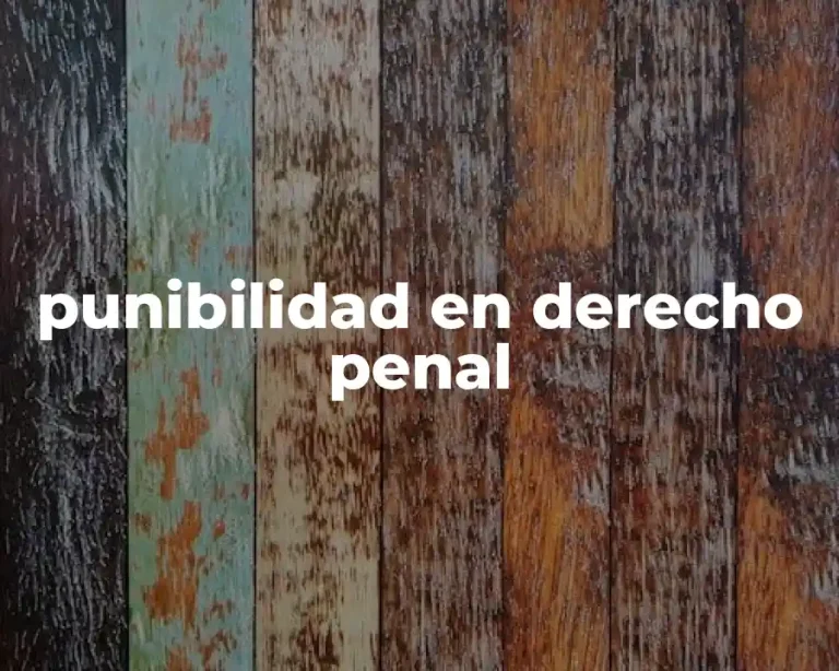 punibilidad en derecho penal