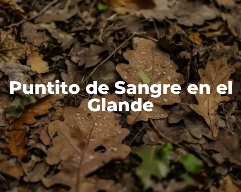 Puntito de Sangre en el Glande