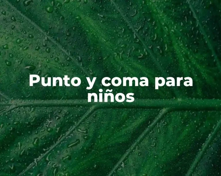 Punto y coma para niños