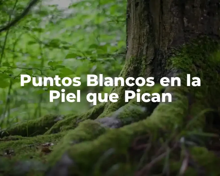 Puntos Blancos en la Piel que Pican