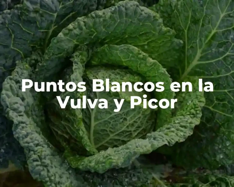 Puntos Blancos en la Vulva y Picor