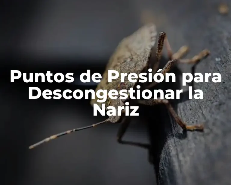 Puntos de Presión para Descongestionar la Nariz