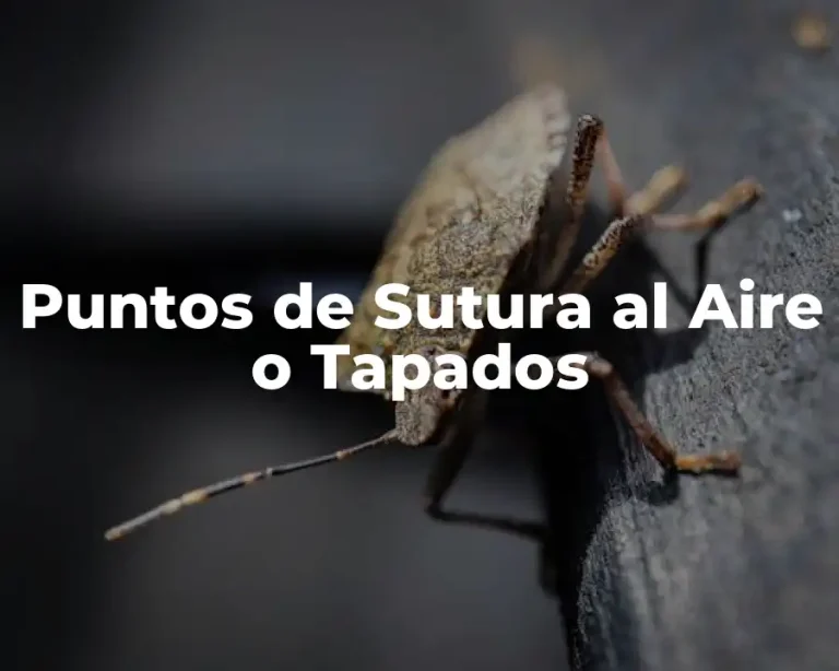 Puntos de Sutura al Aire o Tapados