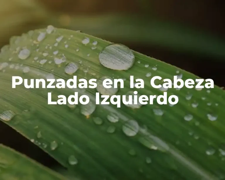 Punzadas en la Cabeza Lado Izquierdo
