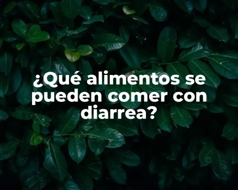¿Qué alimentos se pueden comer con diarrea?