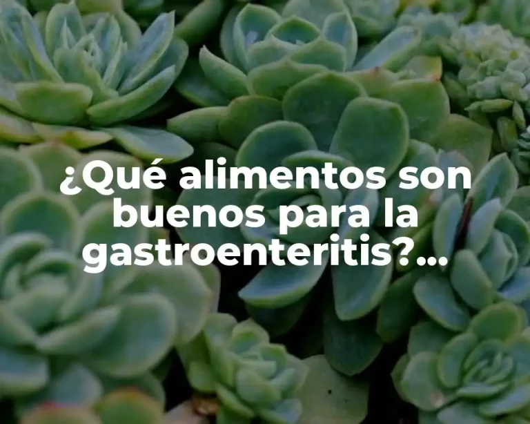 ¿Qué alimentos son buenos para la gastroenteritis? Alimentación saludable para la salud intestinal