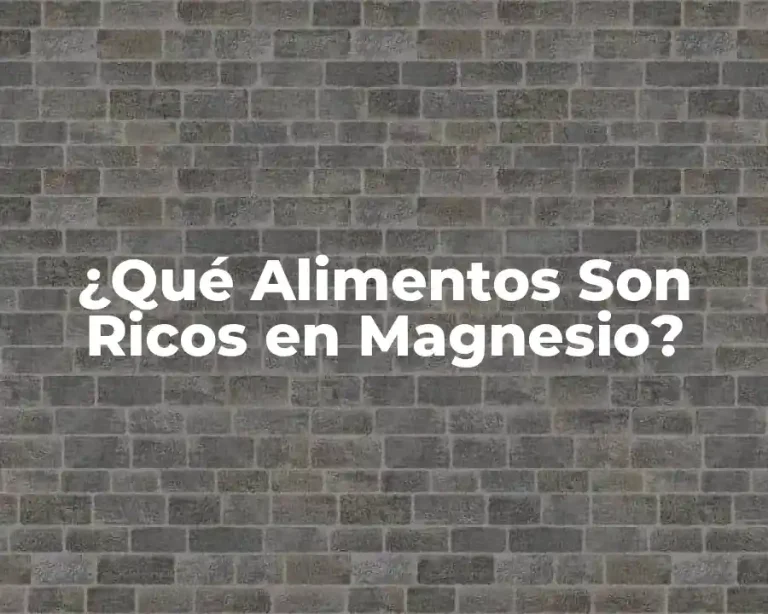 ¿Qué Alimentos Son Ricos en Magnesio?