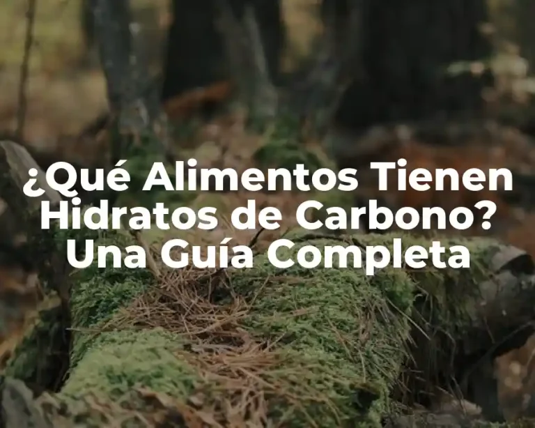 ¿Qué Alimentos Tienen Hidratos de Carbono? Una Guía Completa
