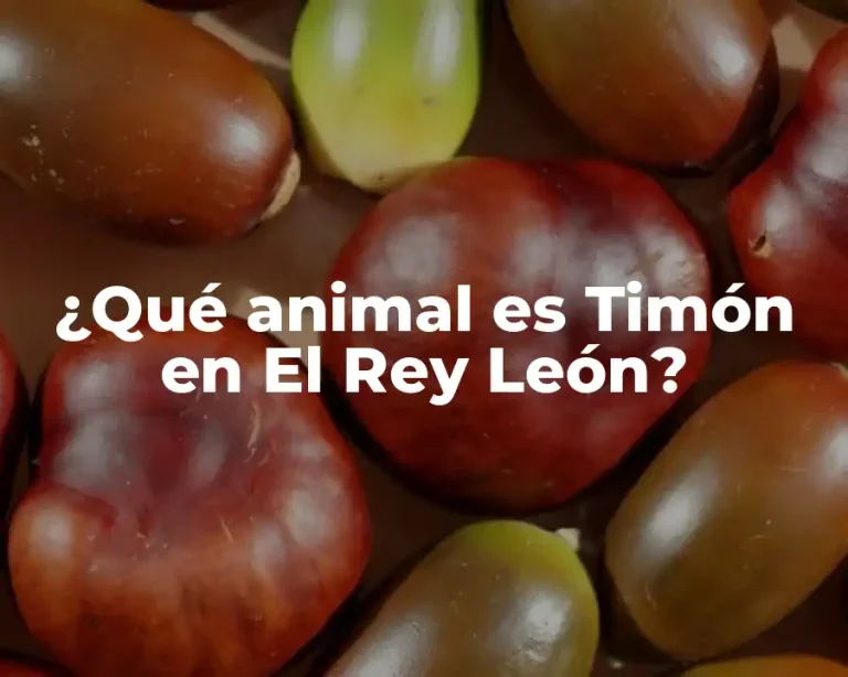 ¿Qué animal es Timón en El Rey León?
