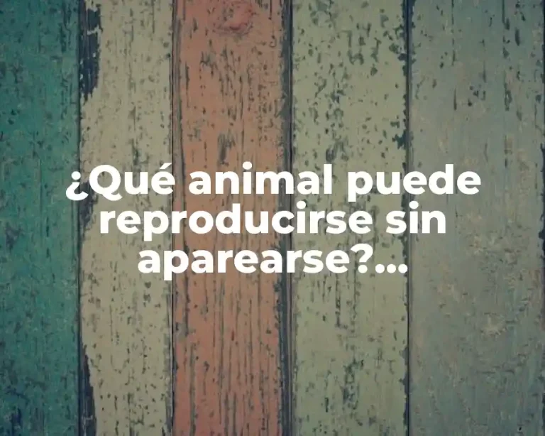 ¿Qué animal puede reproducirse sin aparearse? Reproducción Asexuada en la Naturaleza