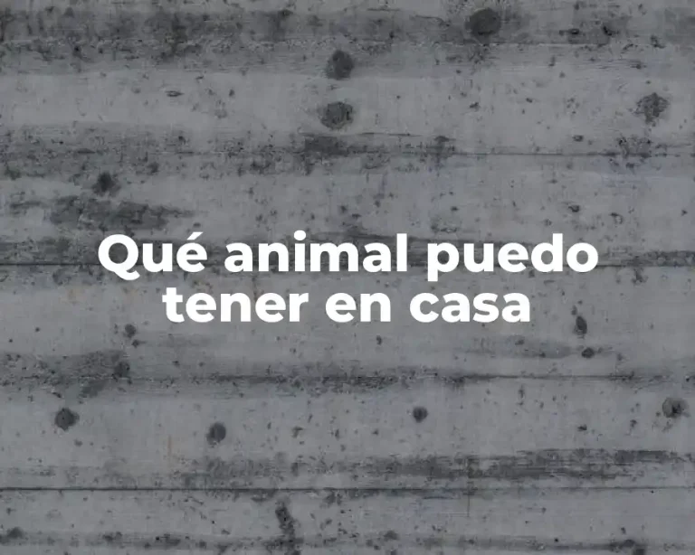 Qué animal puedo tener en casa