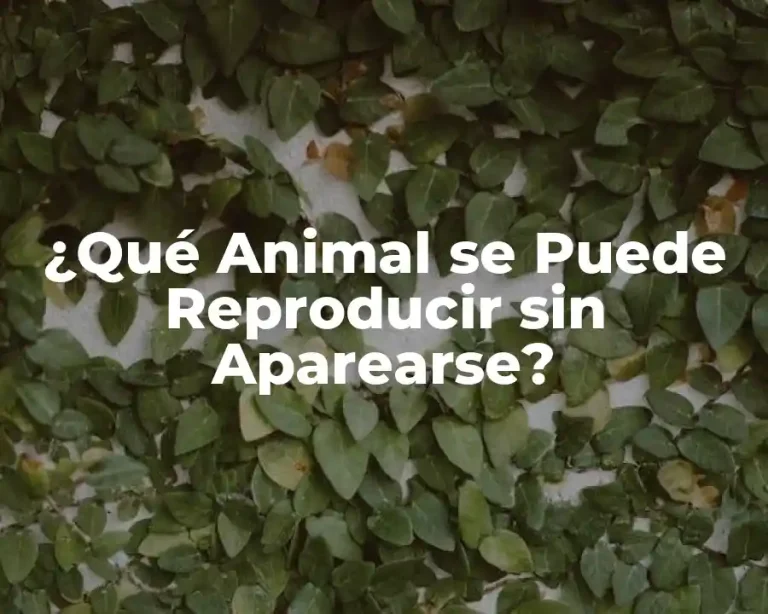 ¿Qué Animal se Puede Reproducir sin Aparearse?