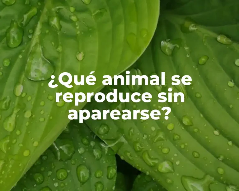 ¿Qué animal se reproduce sin aparearse?