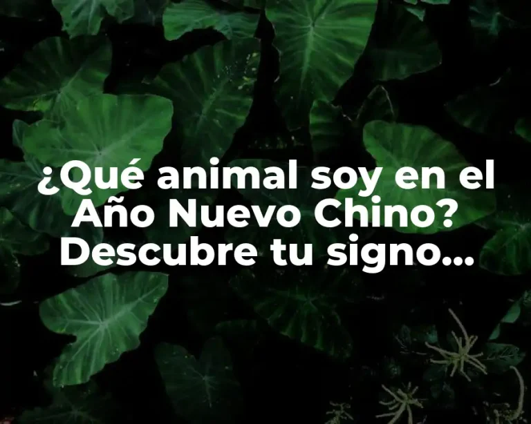 ¿Qué animal soy en el Año Nuevo Chino? Descubre tu signo astrologico