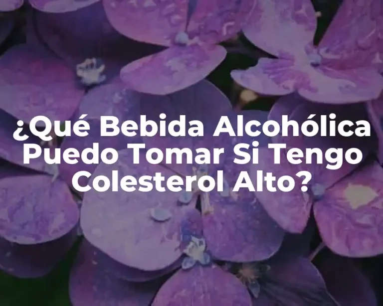 ¿Qué Bebida Alcohólica Puedo Tomar Si Tengo Colesterol Alto?
