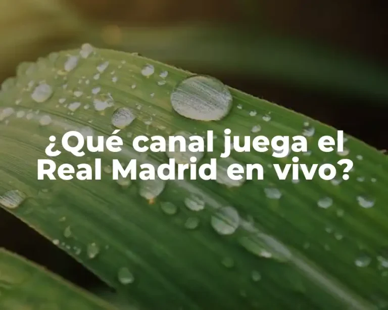 ¿Qué canal juega el Real Madrid en vivo?