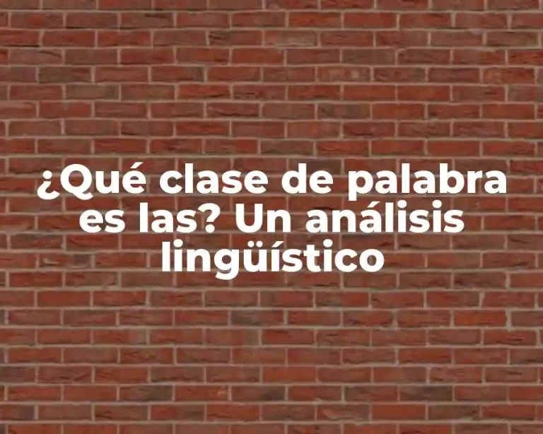 ¿Qué clase de palabra es las? Un análisis lingüístico