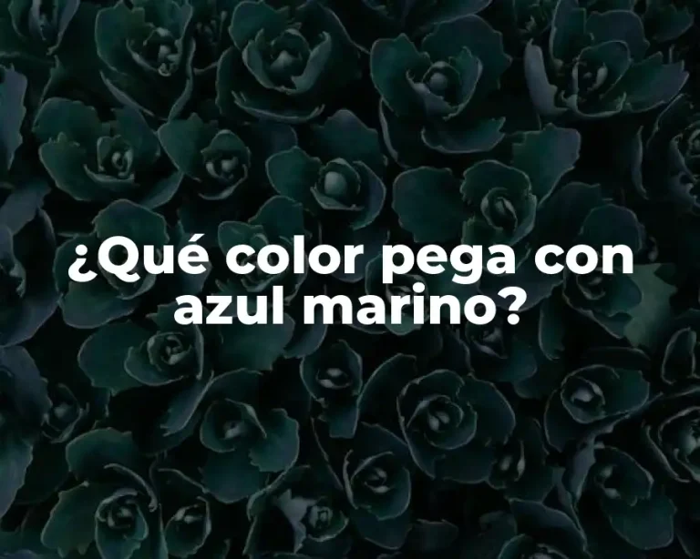 ¿Qué color pega con azul marino?