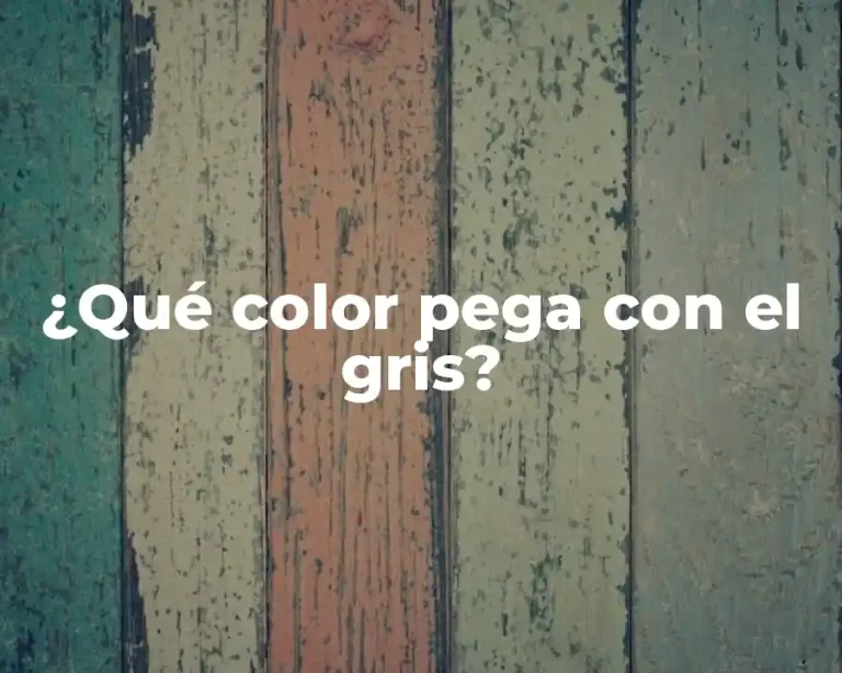 ¿Qué color pega con el gris?