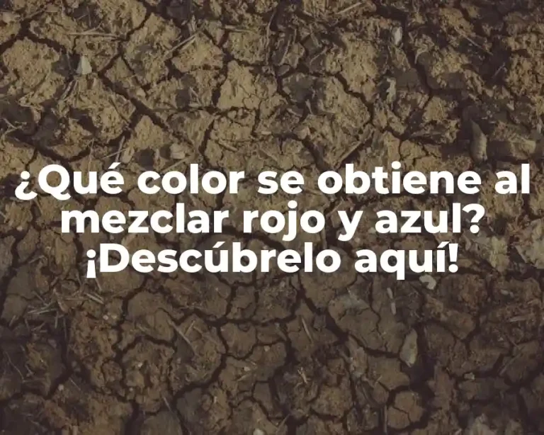 ¿Qué color se obtiene al mezclar rojo y azul? ¡Descúbrelo aquí!