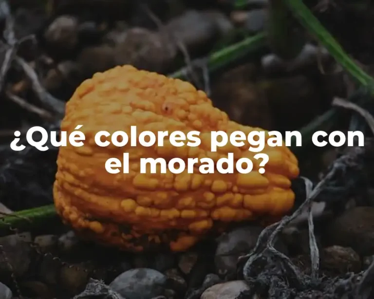 ¿Qué colores pegan con el morado?