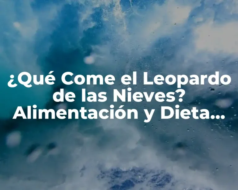 ¿Qué Come el Leopardo de las Nieves? Alimentación y Dieta del Felino más Elusivo