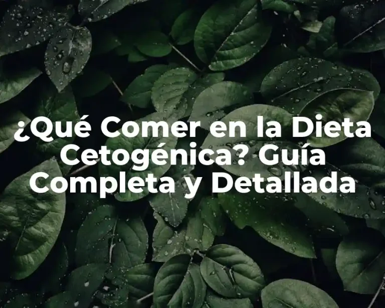 ¿Qué Comer en la Dieta Cetogénica? Guía Completa y Detallada
