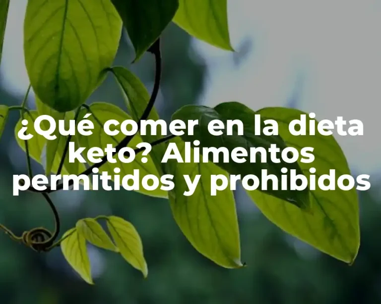 ¿Qué comer en la dieta keto? Alimentos permitidos y prohibidos