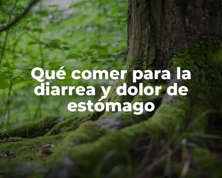 Qué comer para la diarrea y dolor de estómago