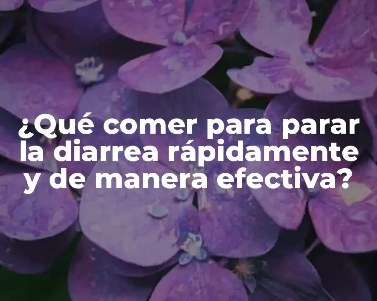 ¿Qué comer para parar la diarrea rápidamente y de manera efectiva?