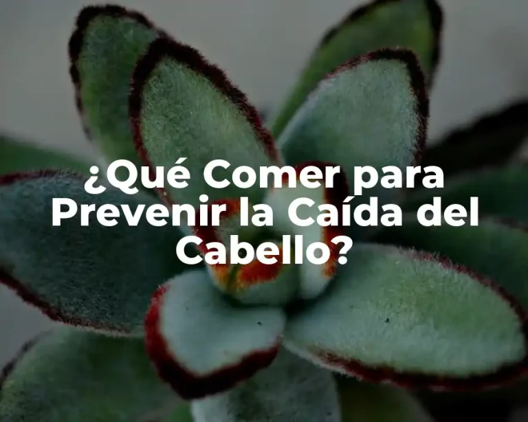 ¿Qué Comer para Prevenir la Caída del Cabello?