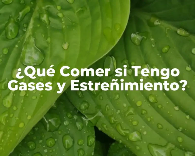 ¿Qué Comer si Tengo Gases y Estreñimiento?