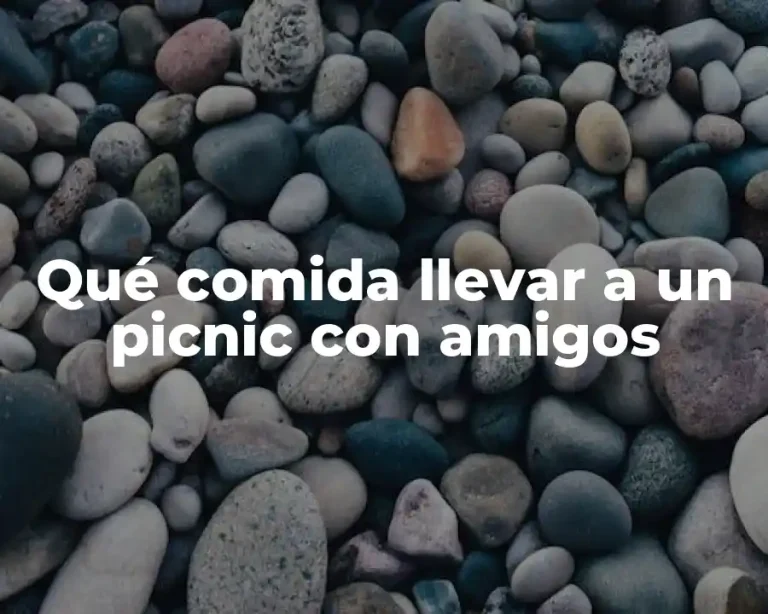 Qué comida llevar a un picnic con amigos